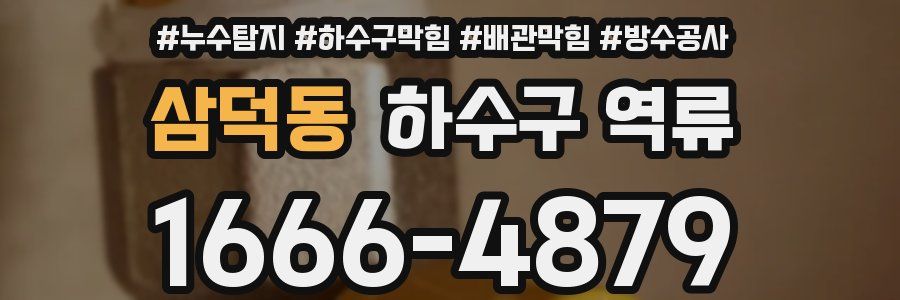 삼덕동 하수구 역류