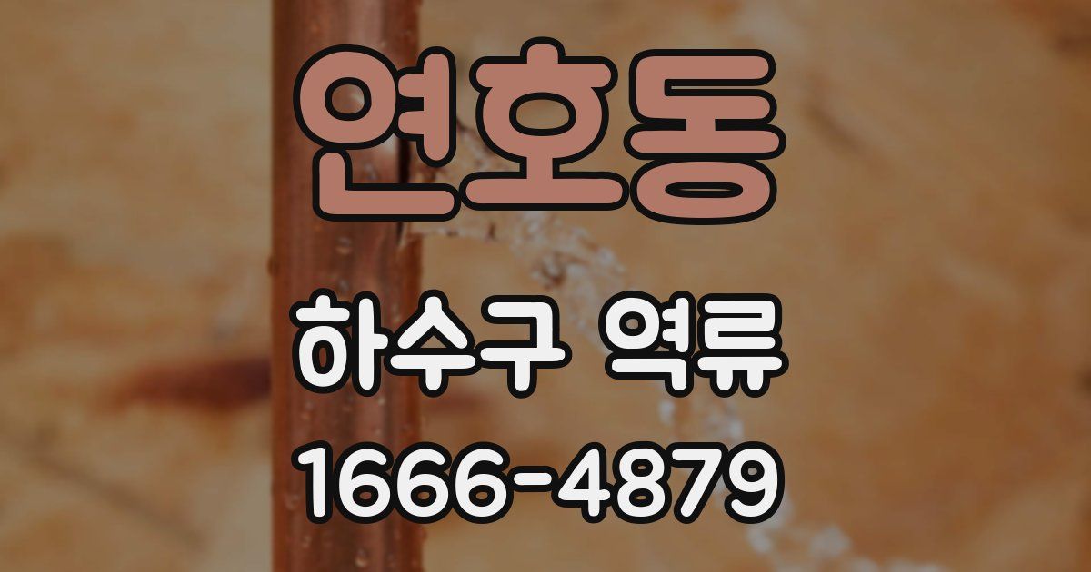 연호동 하수구 역류