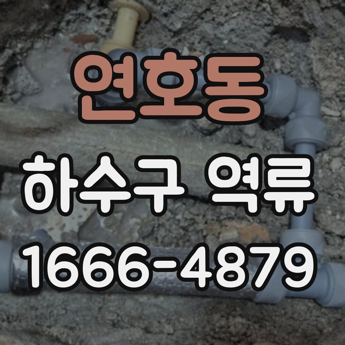 연호동 하수구 역류