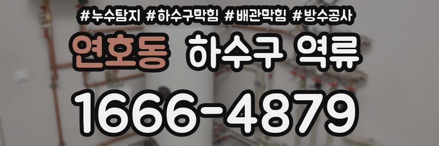 연호동 하수구 역류