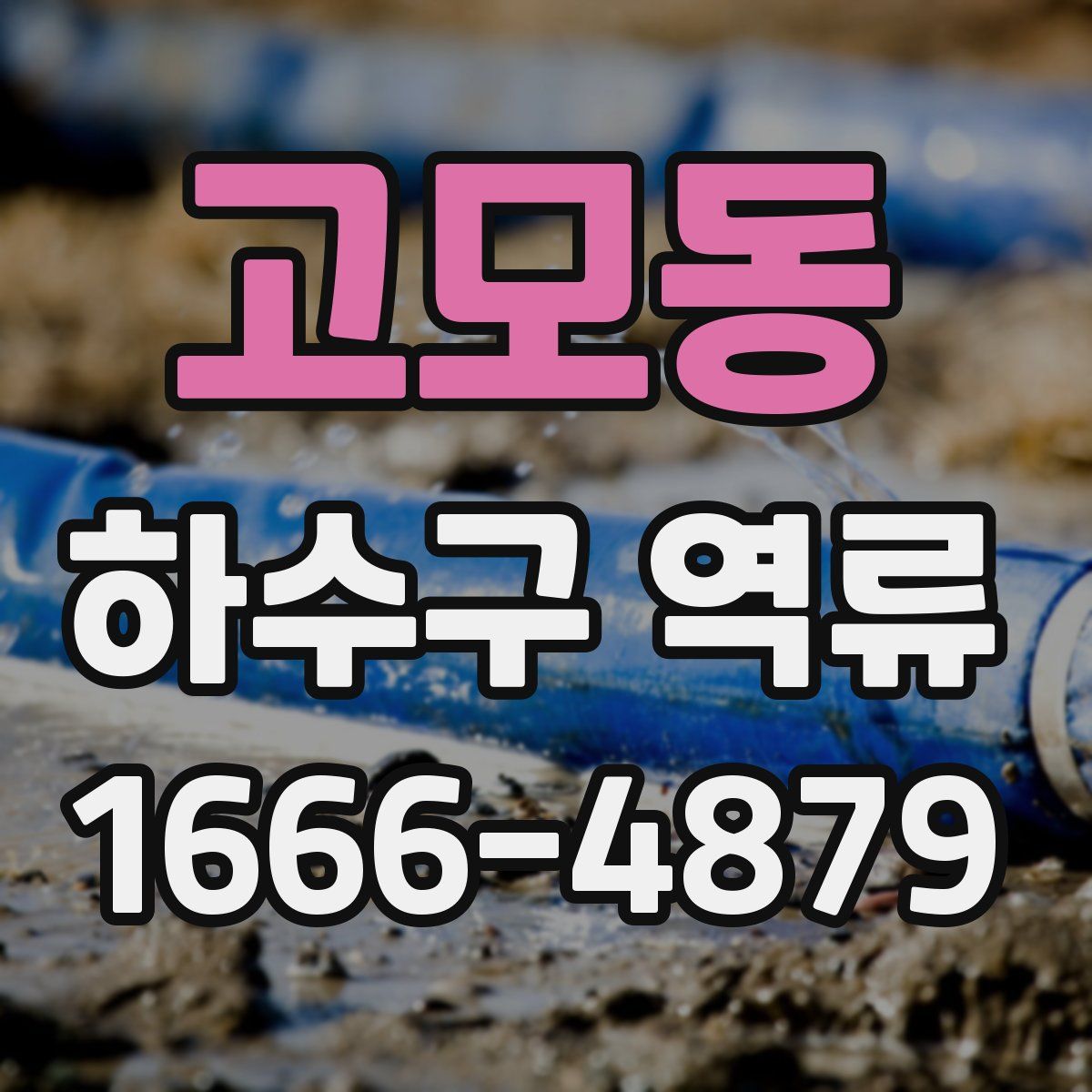 고모동 하수구 역류