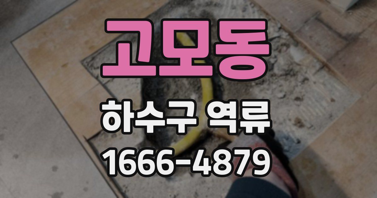 고모동 하수구 역류