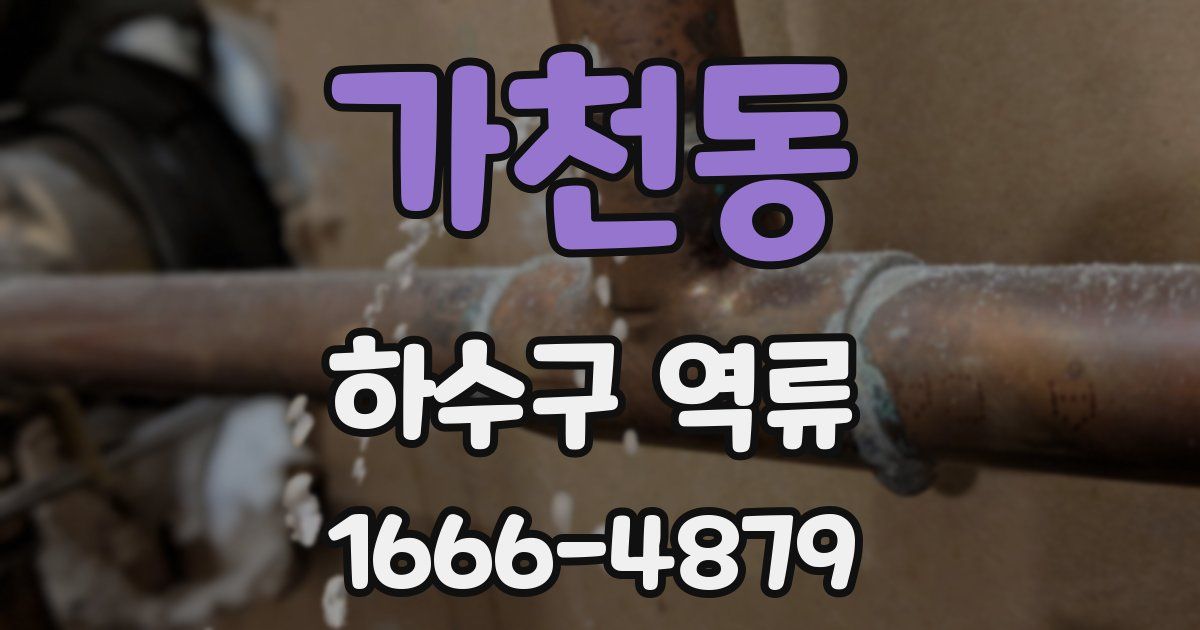 가천동 하수구 역류