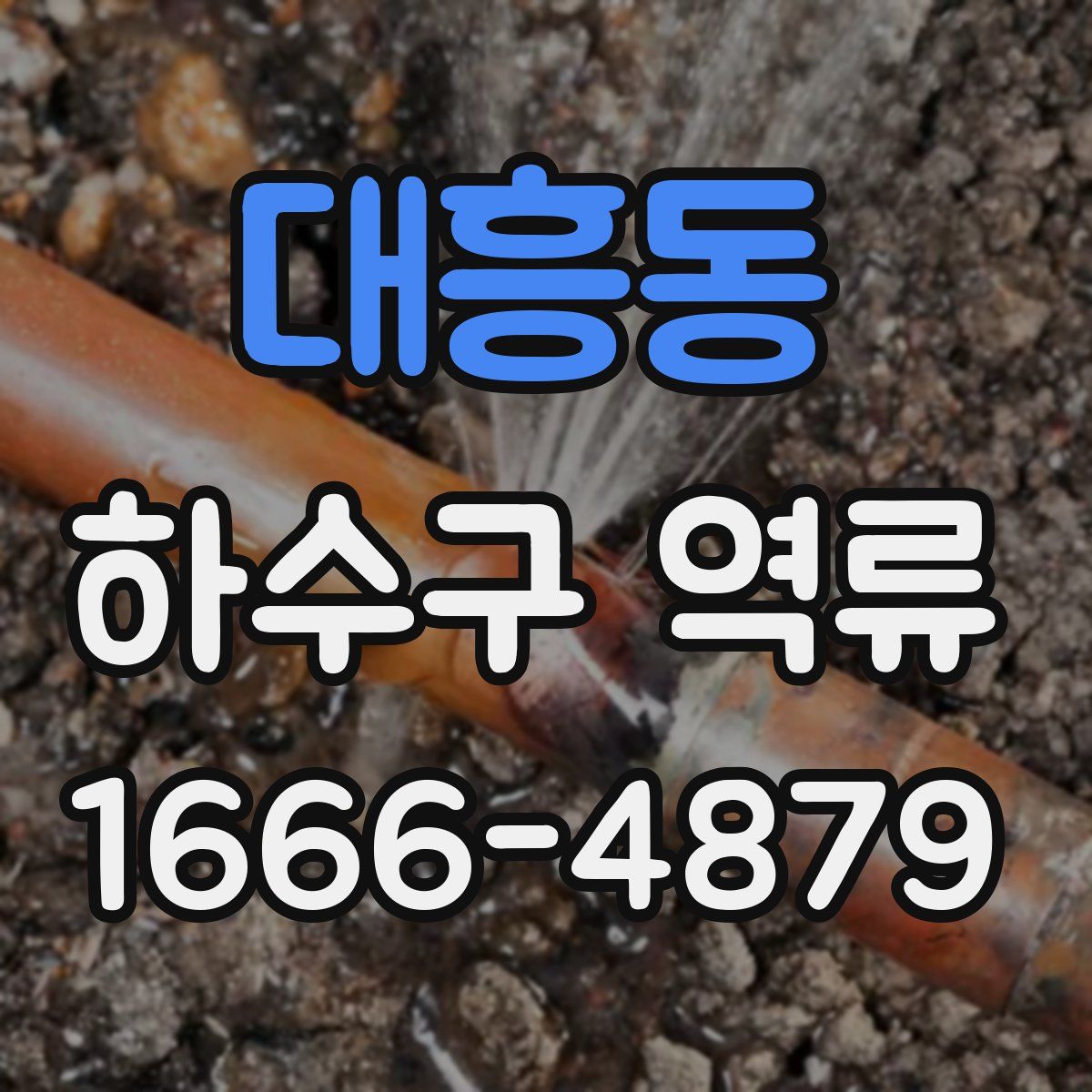대흥동 하수구 역류