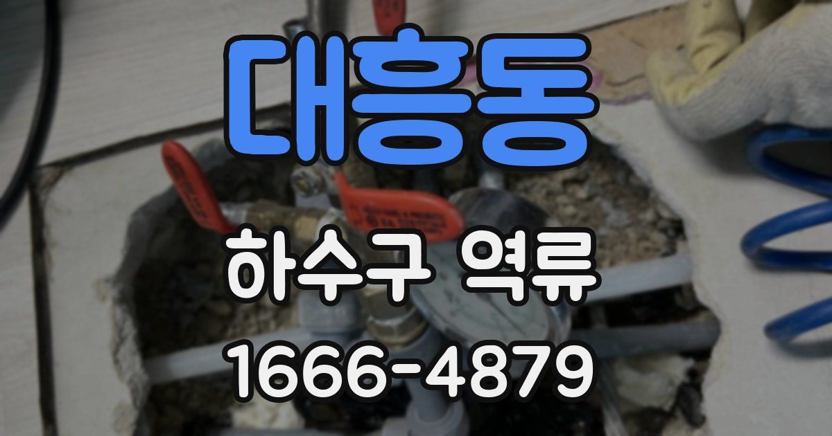 대흥동 하수구 역류