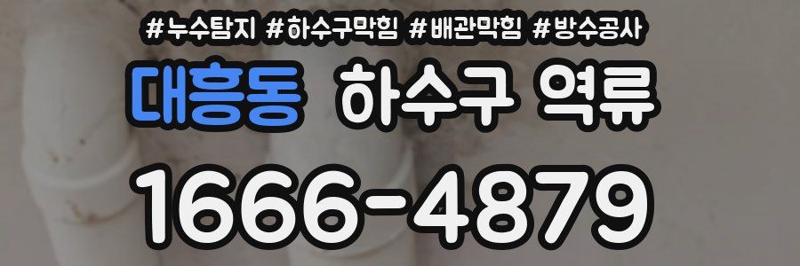 대흥동 하수구 역류