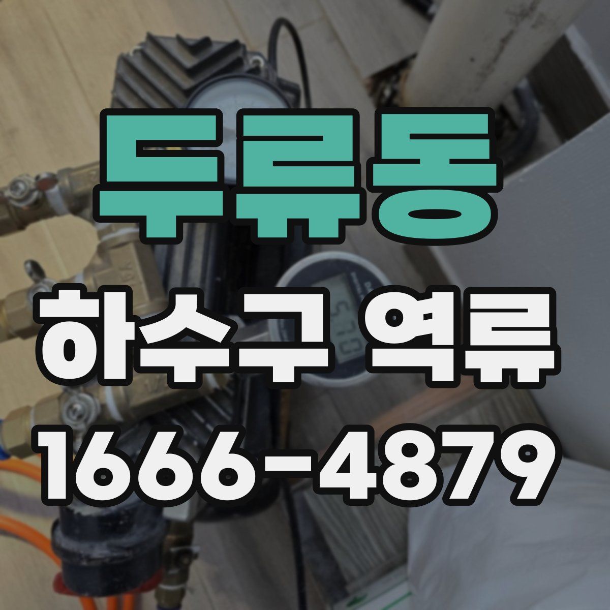 두류동 하수구 역류