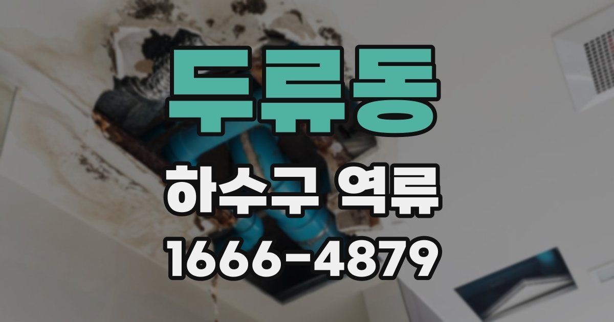 두류동 하수구 역류