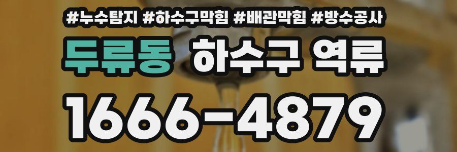 두류동 하수구 역류