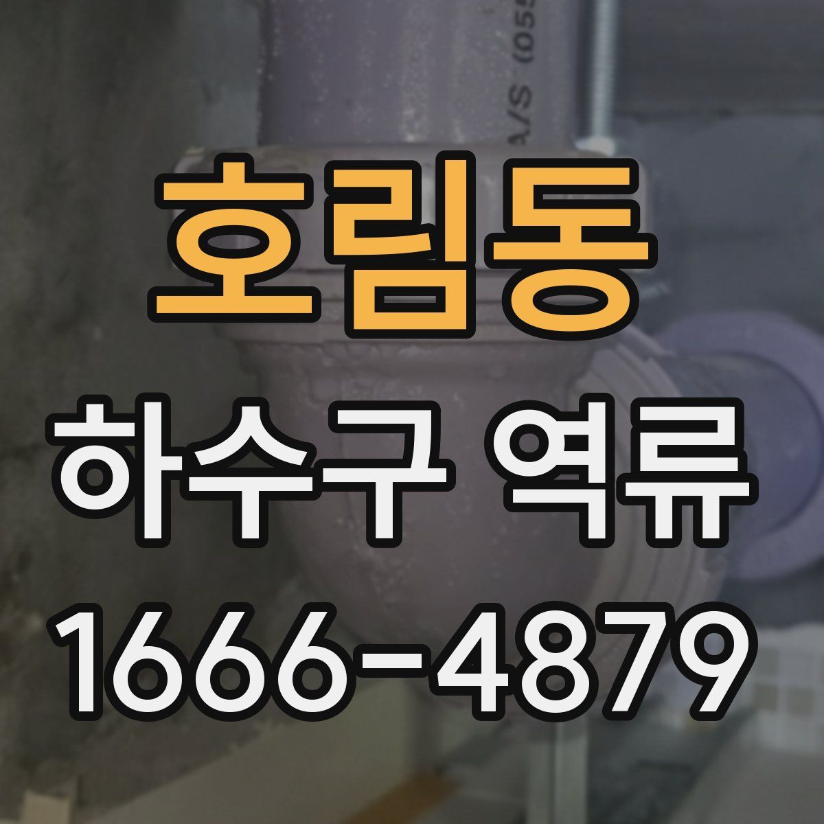 호림동 하수구 역류