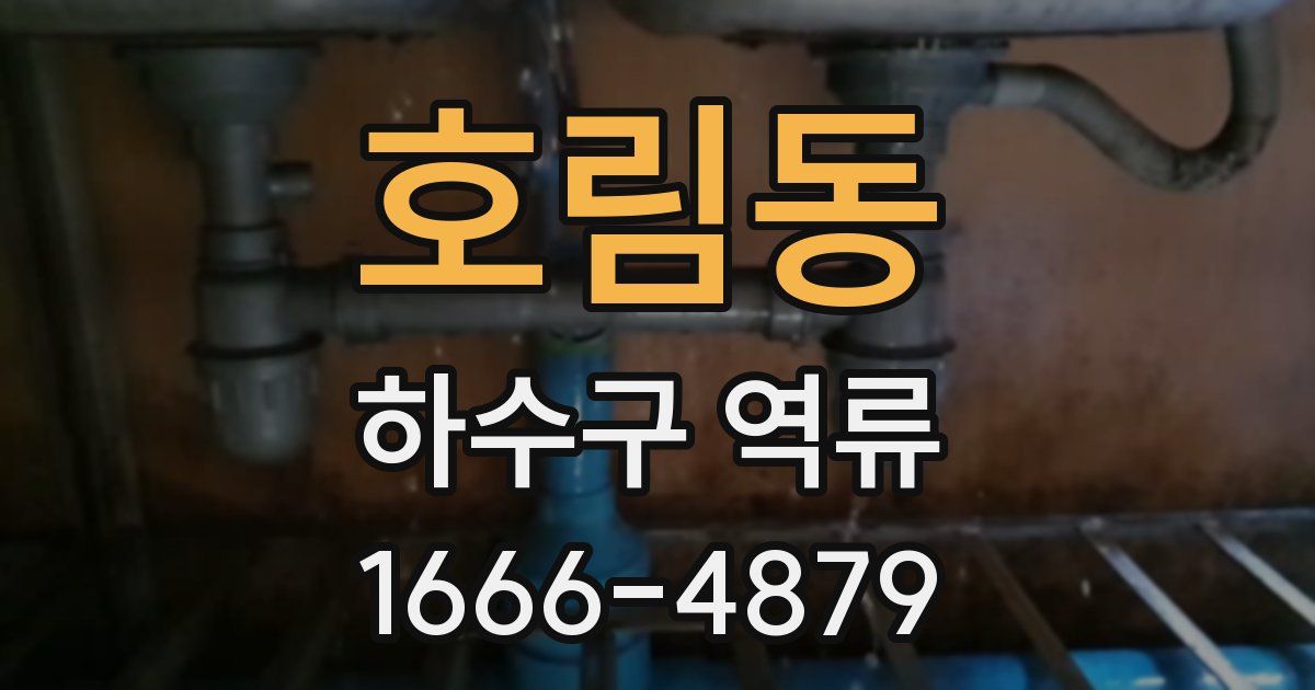 호림동 하수구 역류