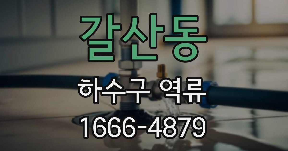 갈산동 하수구 역류