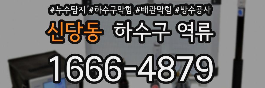 신당동 하수구 역류