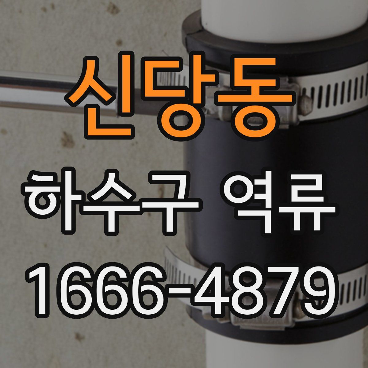 신당동 하수구 역류