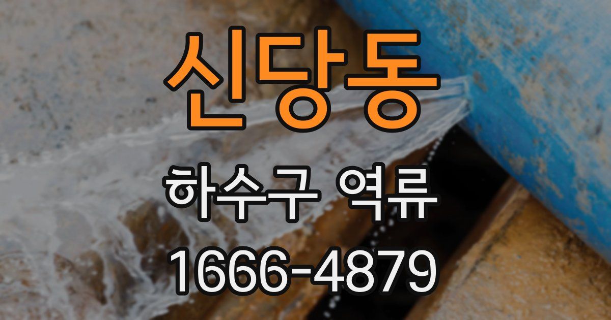 신당동 하수구 역류