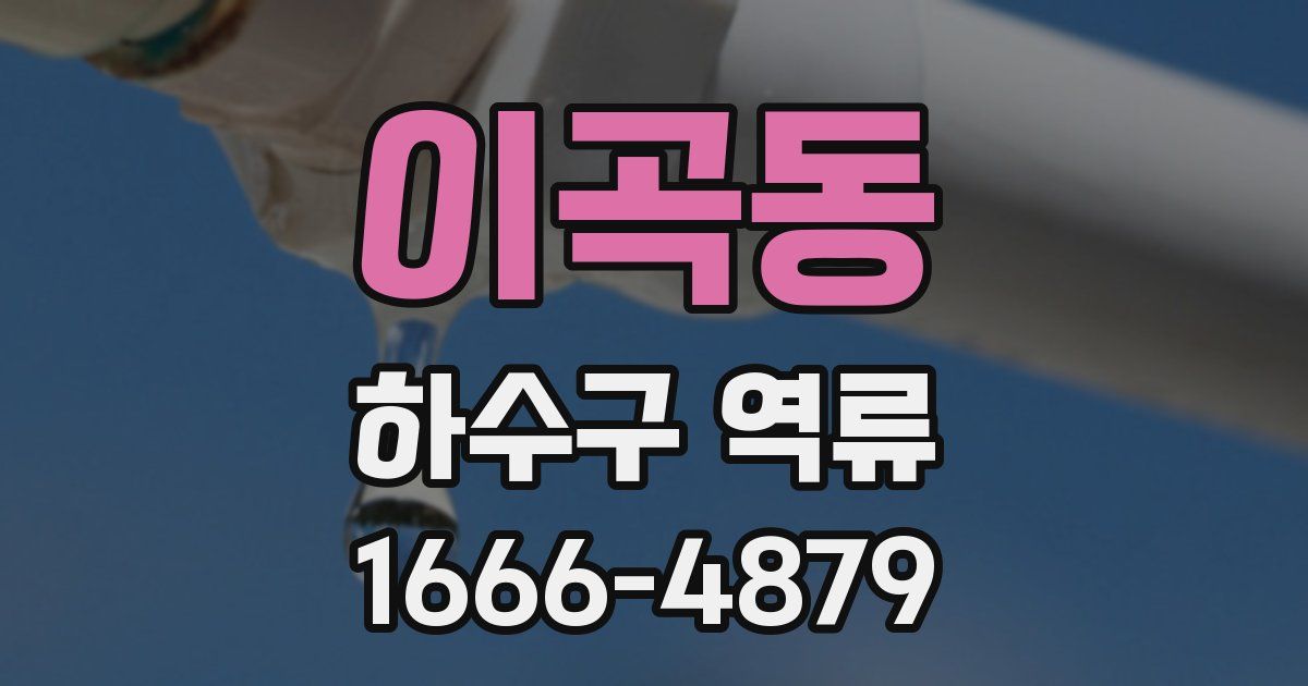 이곡동 하수구 역류