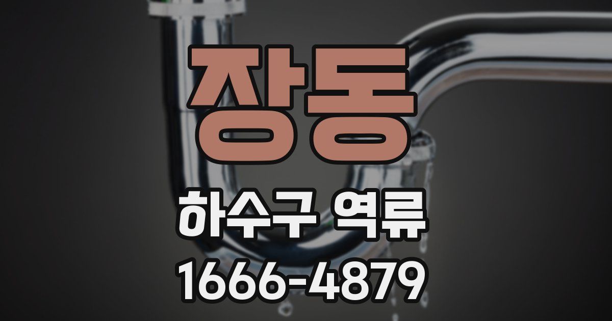장동 하수구 역류