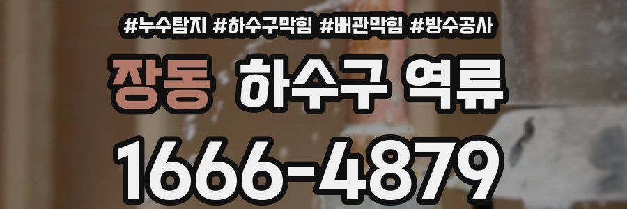 장동 하수구 역류