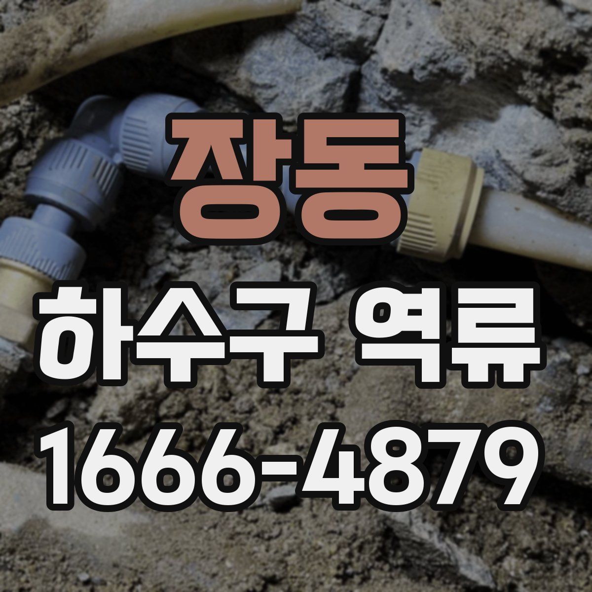 장동 하수구 역류