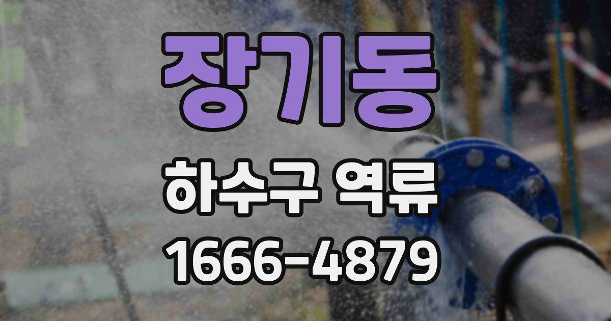 장기동 하수구 역류