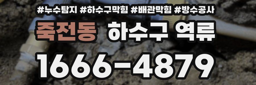 죽전동 하수구 역류