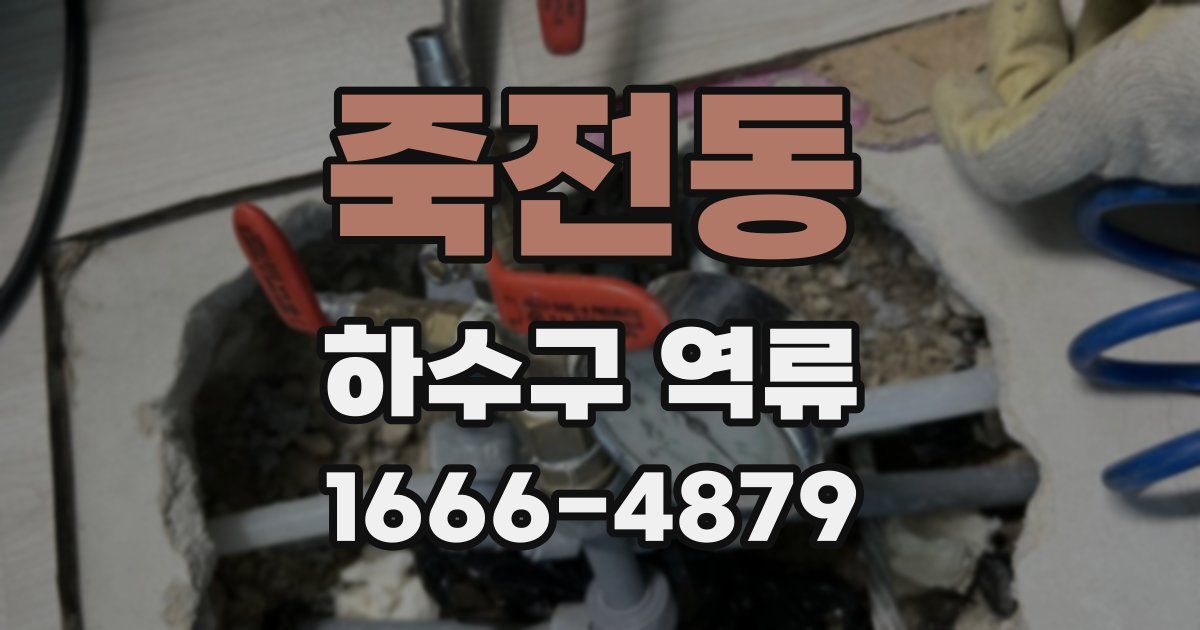 죽전동 하수구 역류