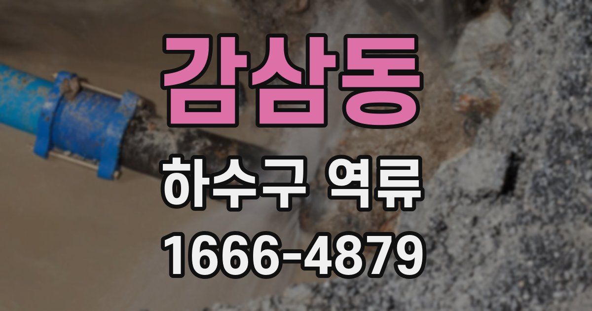 감삼동 하수구 역류