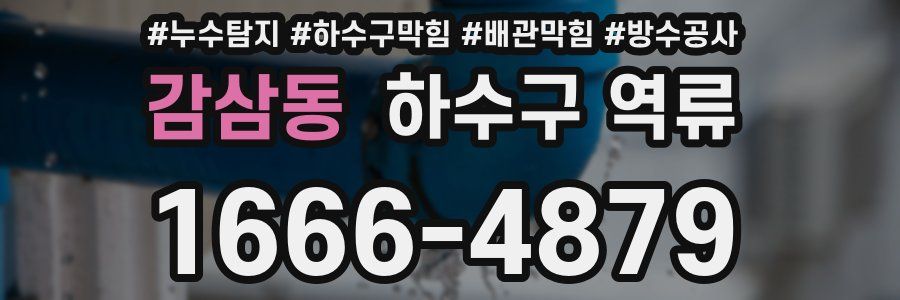 감삼동 하수구 역류
