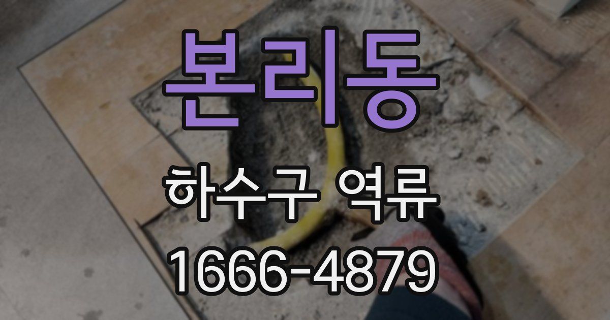 본리동 하수구 역류
