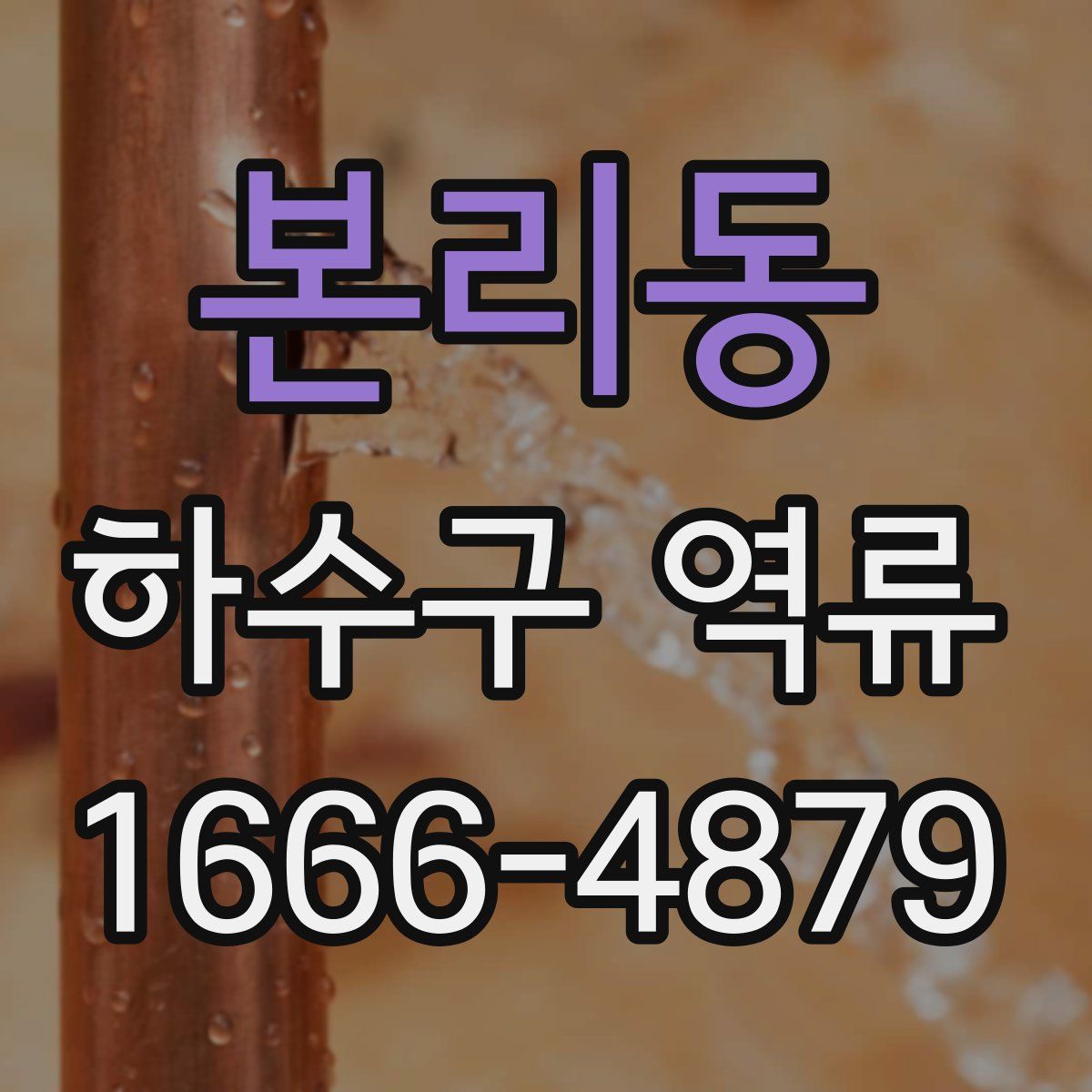 본리동 하수구 역류