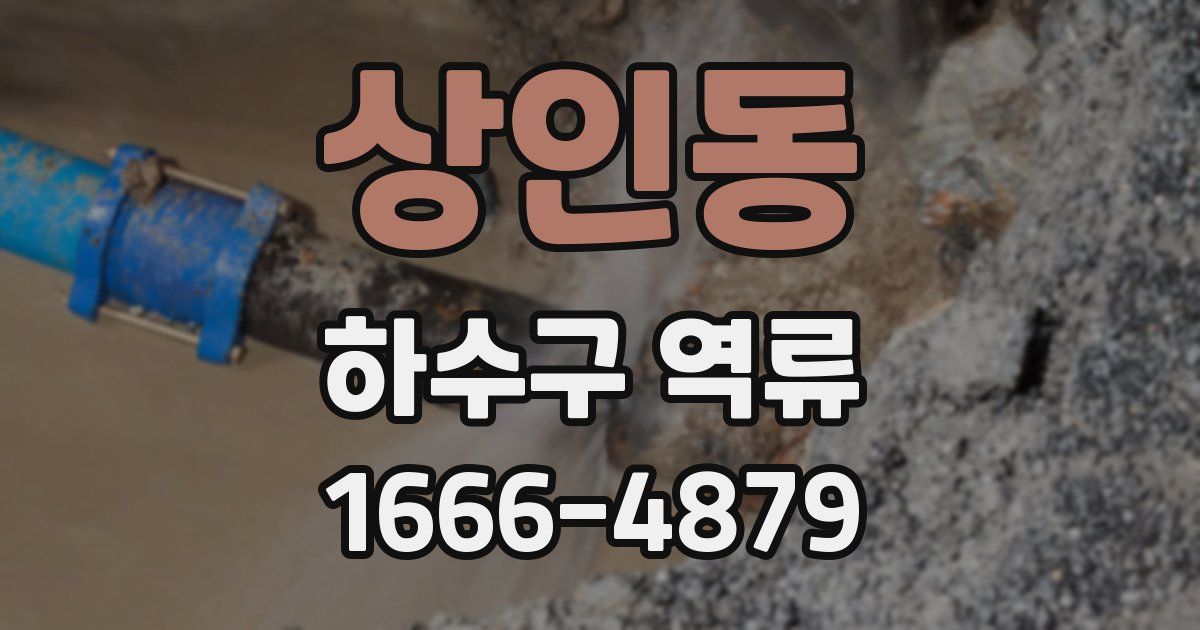 상인동 하수구 역류