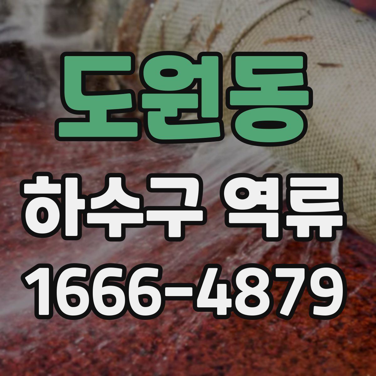 도원동 하수구 역류