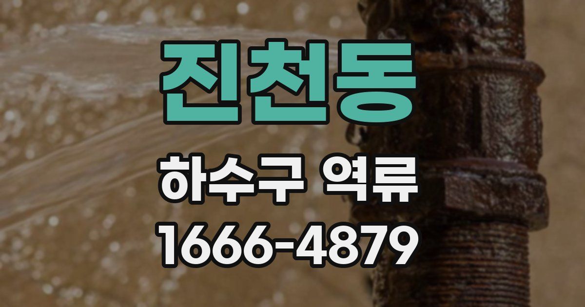 진천동 하수구 역류