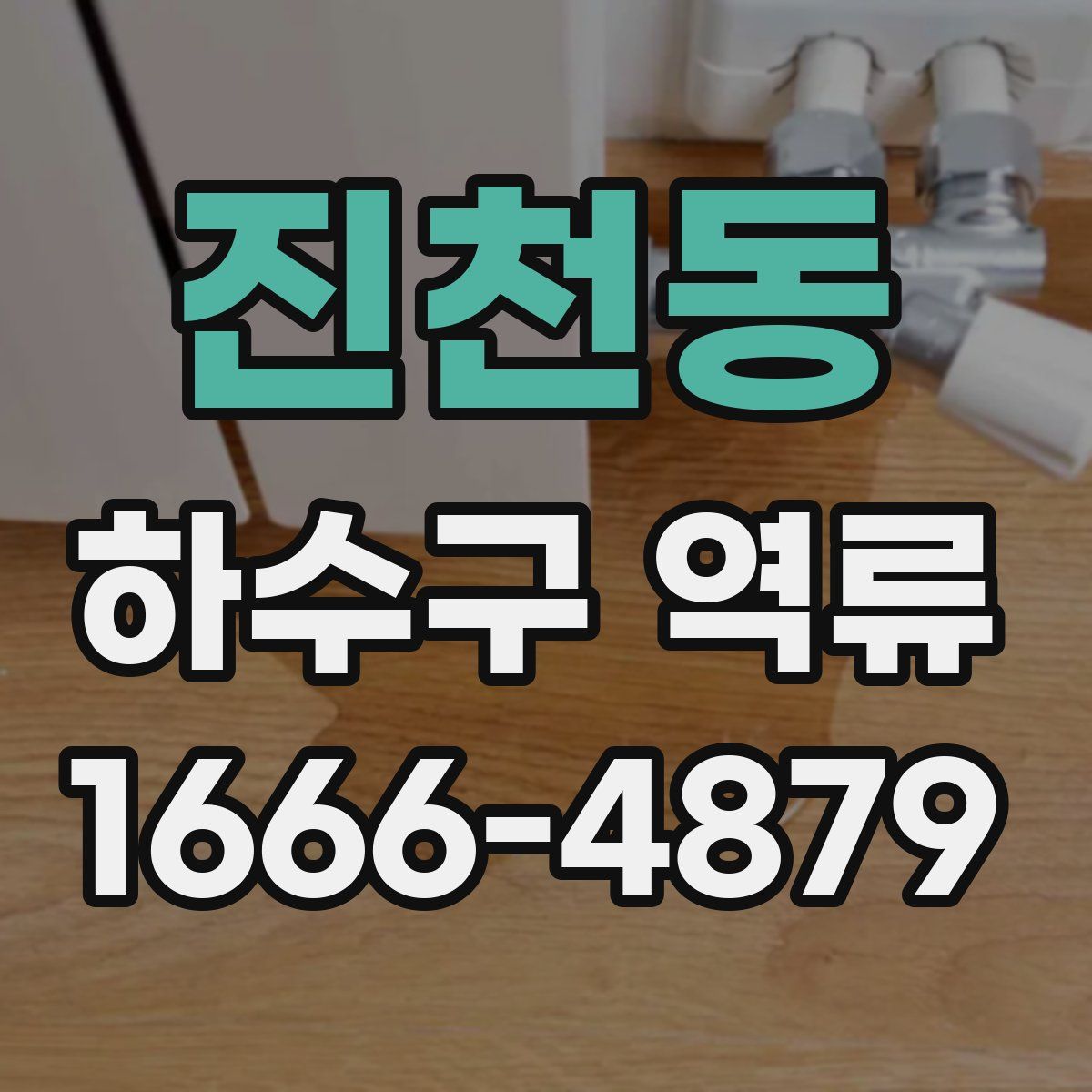 진천동 하수구 역류