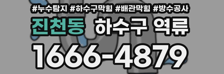 진천동 하수구 역류