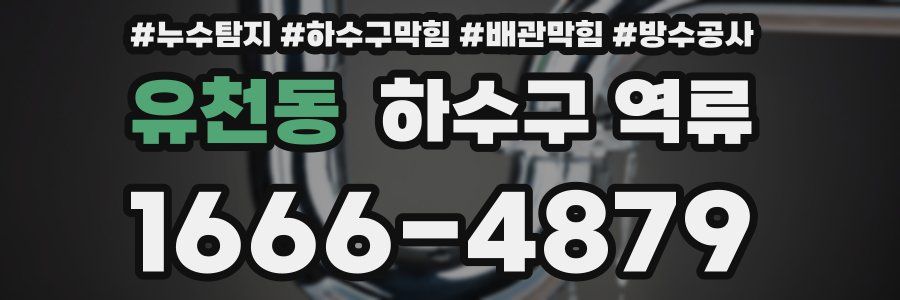 유천동 하수구 역류