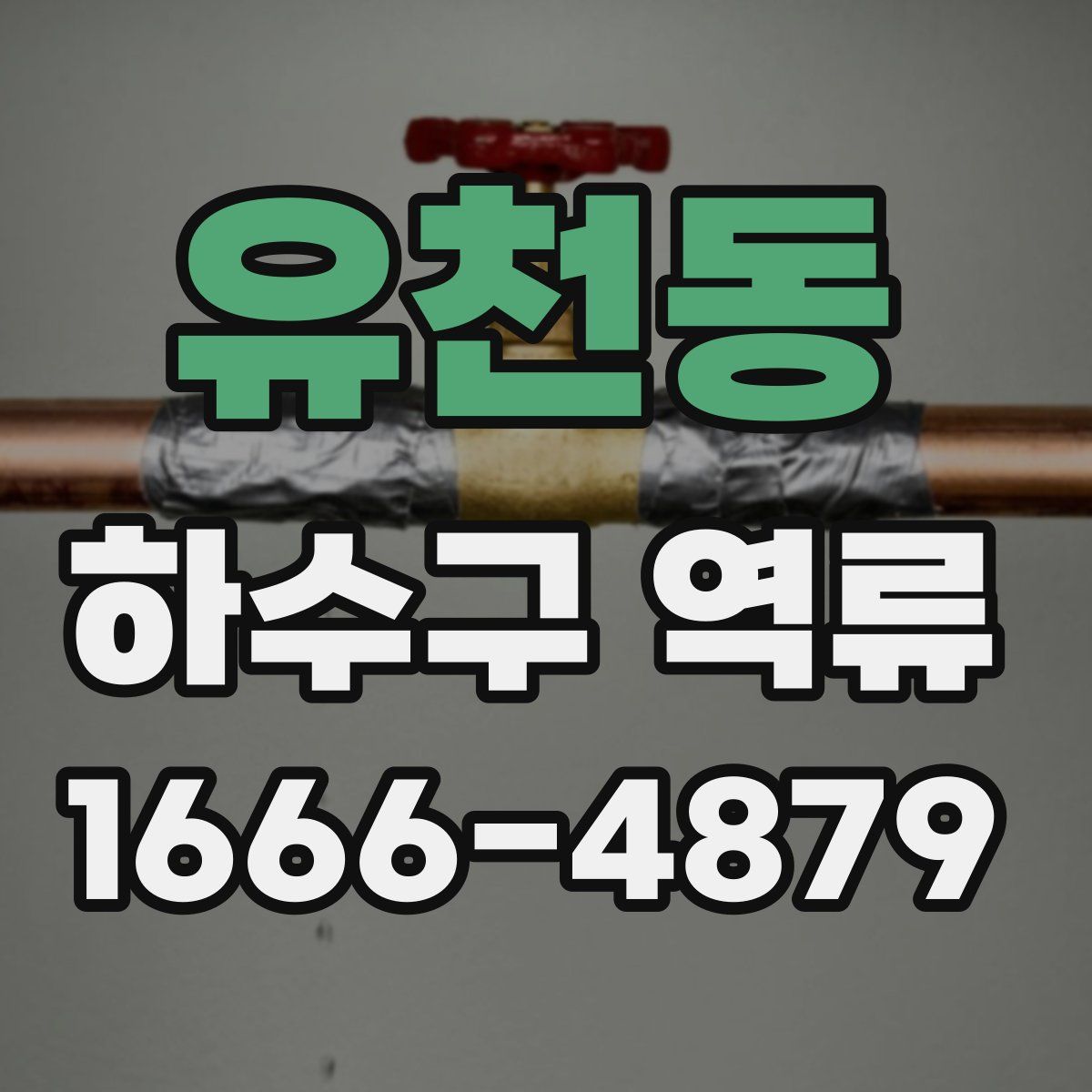 유천동 하수구 역류