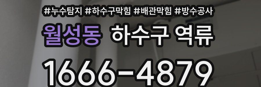 월성동 하수구 역류
