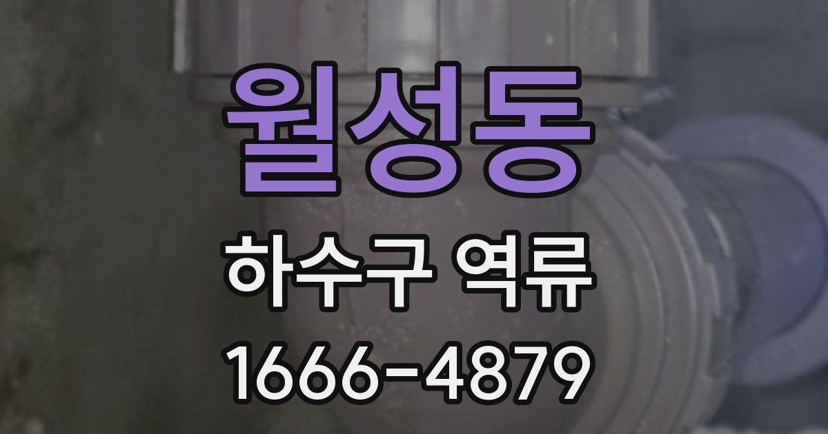 월성동 하수구 역류