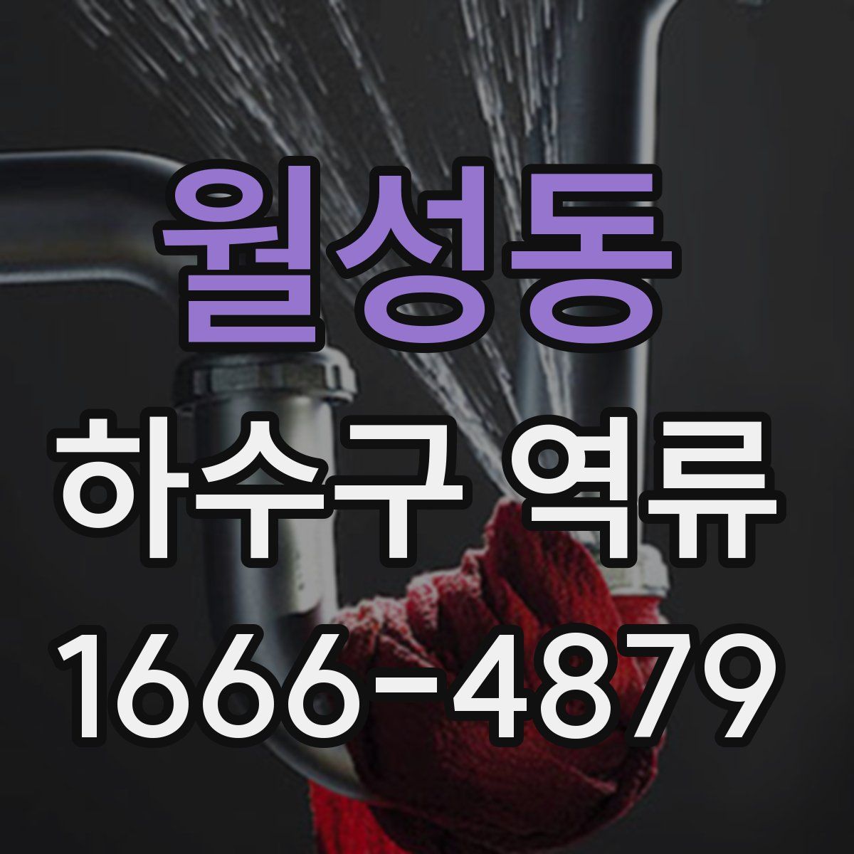 월성동 하수구 역류