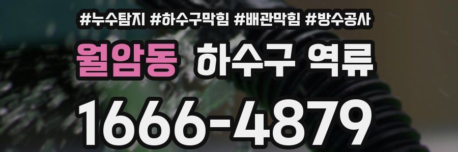월암동 하수구 역류