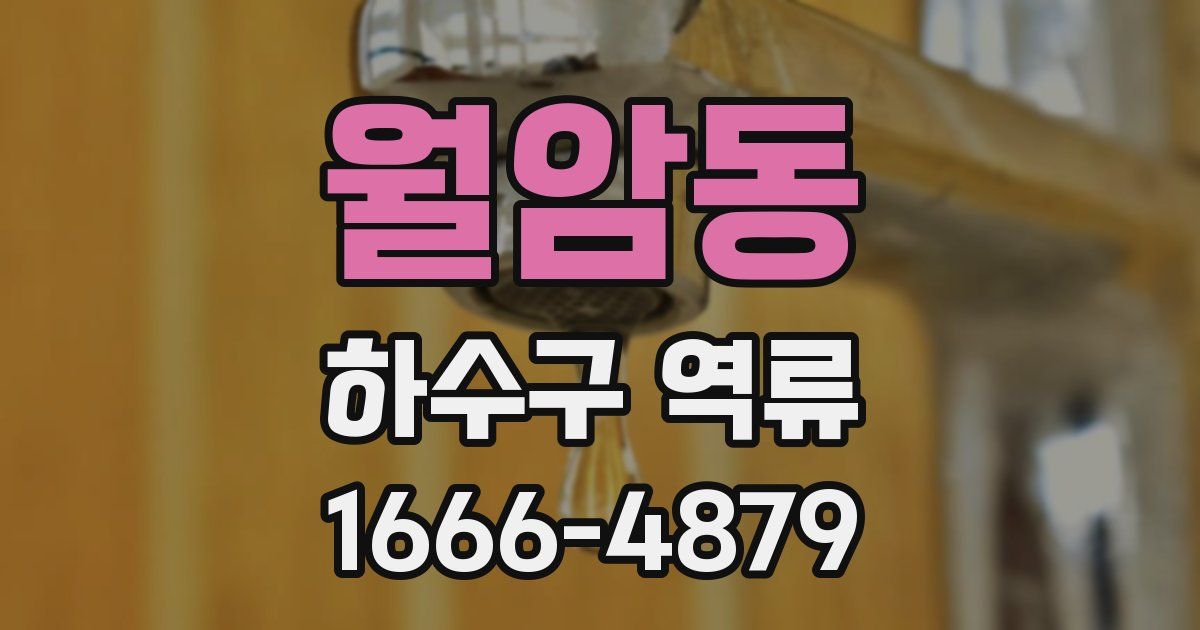월암동 하수구 역류