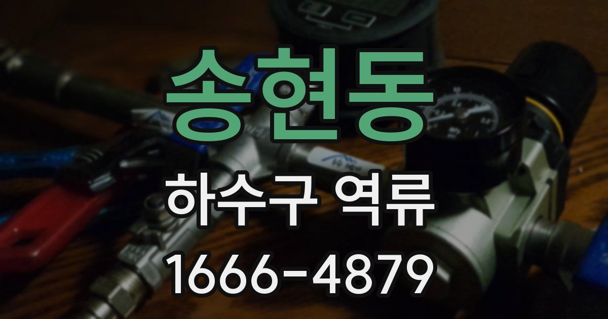 송현동 하수구 역류