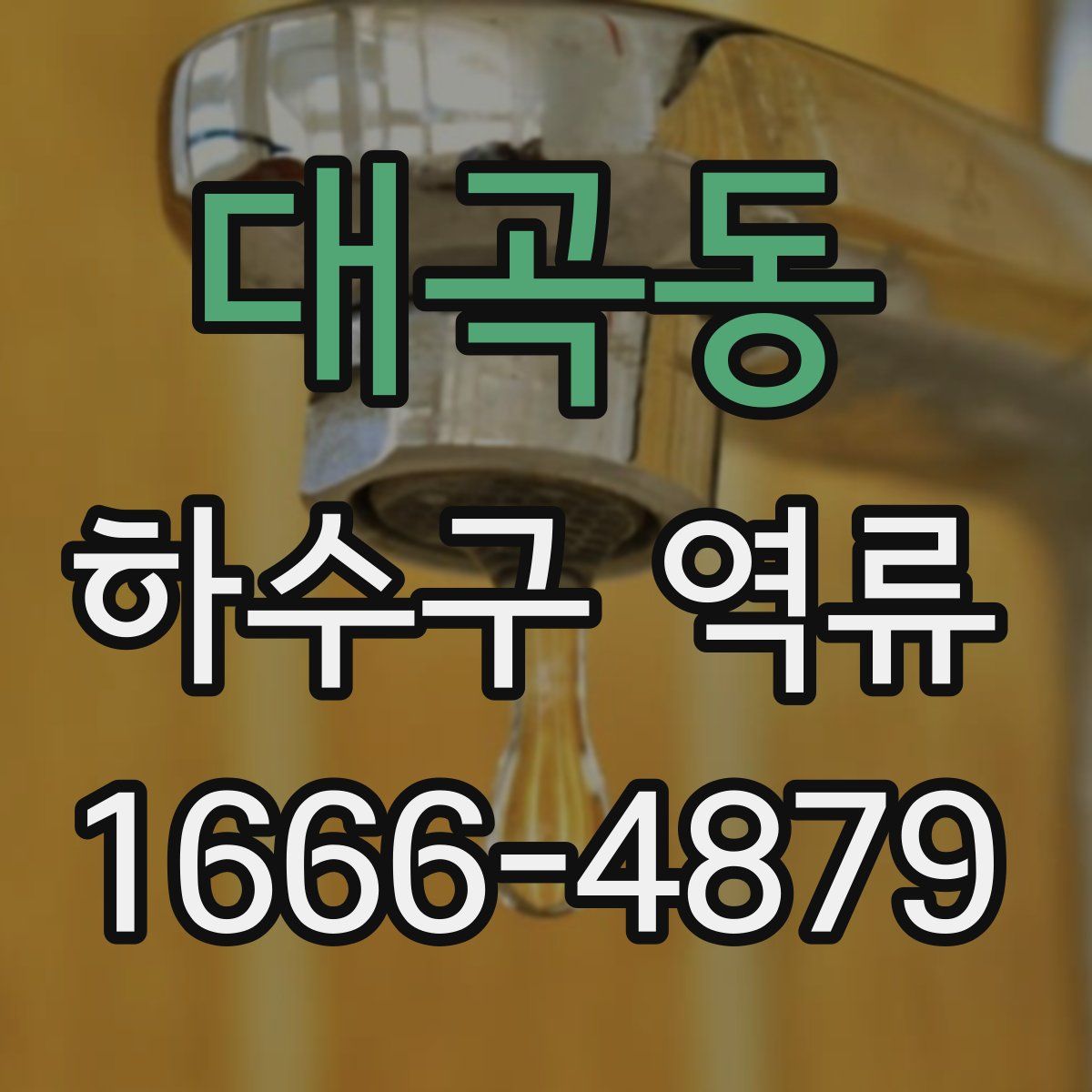 대곡동 하수구 역류