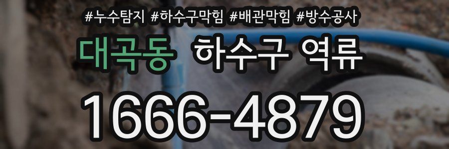 대곡동 하수구 역류