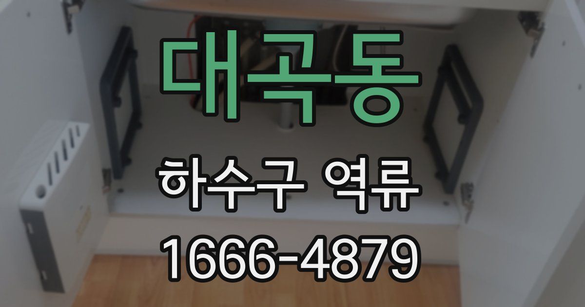 대곡동 하수구 역류