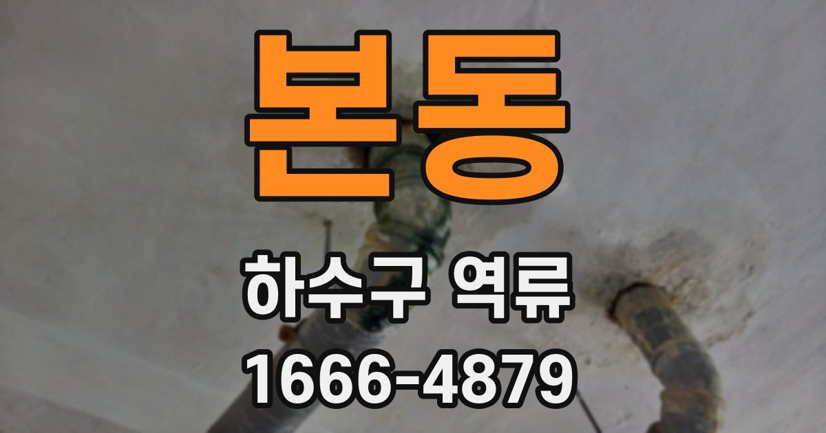 본동 하수구 역류