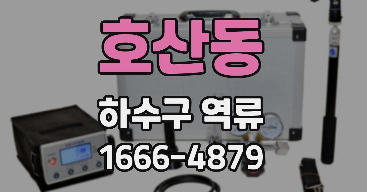 호산동 하수구 역류