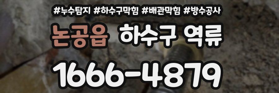 논공읍 하수구 역류