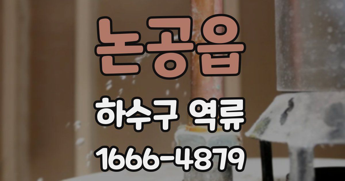 논공읍 하수구 역류